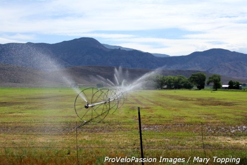 Irrigation along Highway 89 near Panguitch, Utah