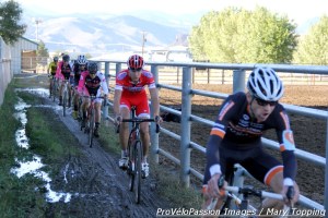In the narrow chute next to rodeo arena fencing